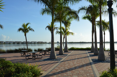 Fort Myers Half Marathon & 5K photo 4