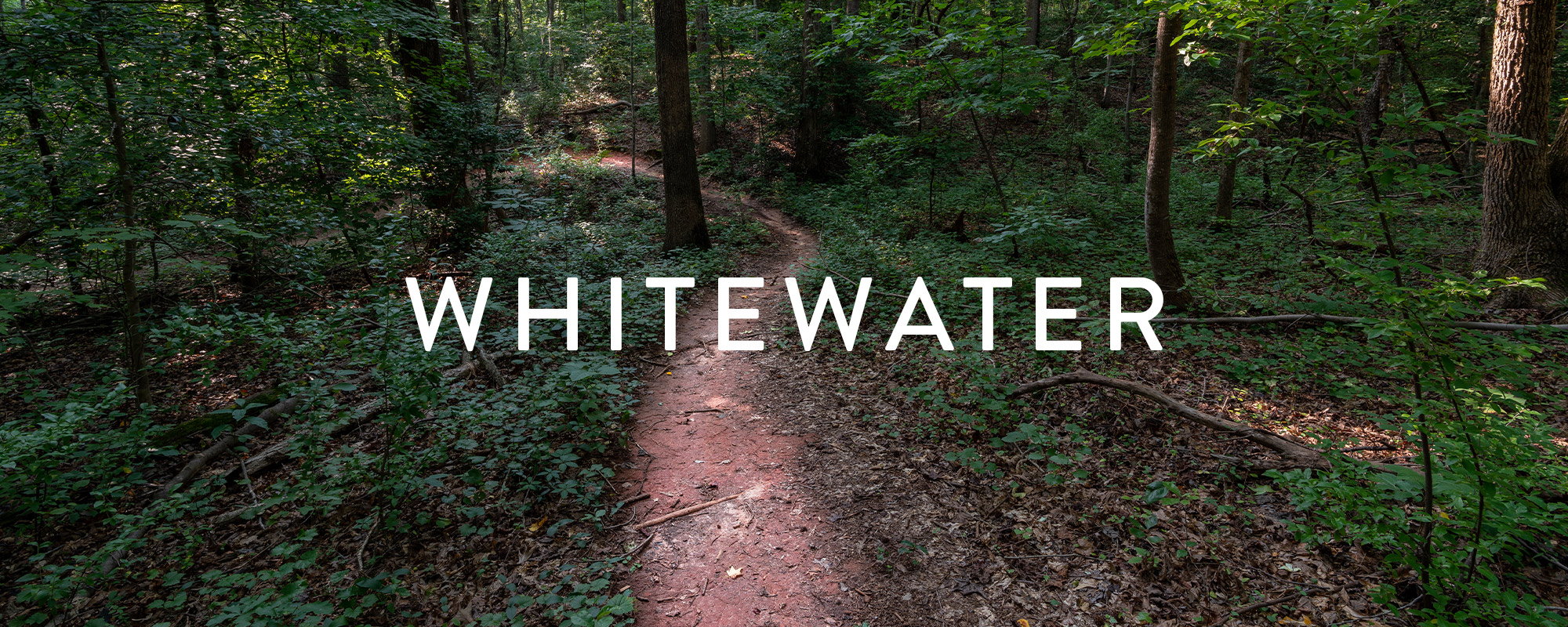 A Shot in the Dark Night Trail Race photo 10